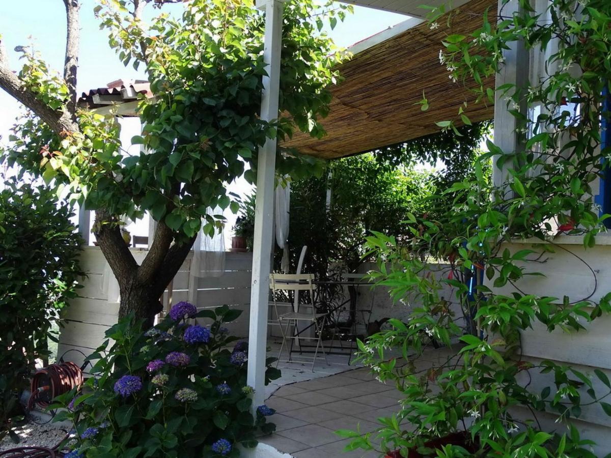 Casa Pentone Villa Cervione Kültér fotó