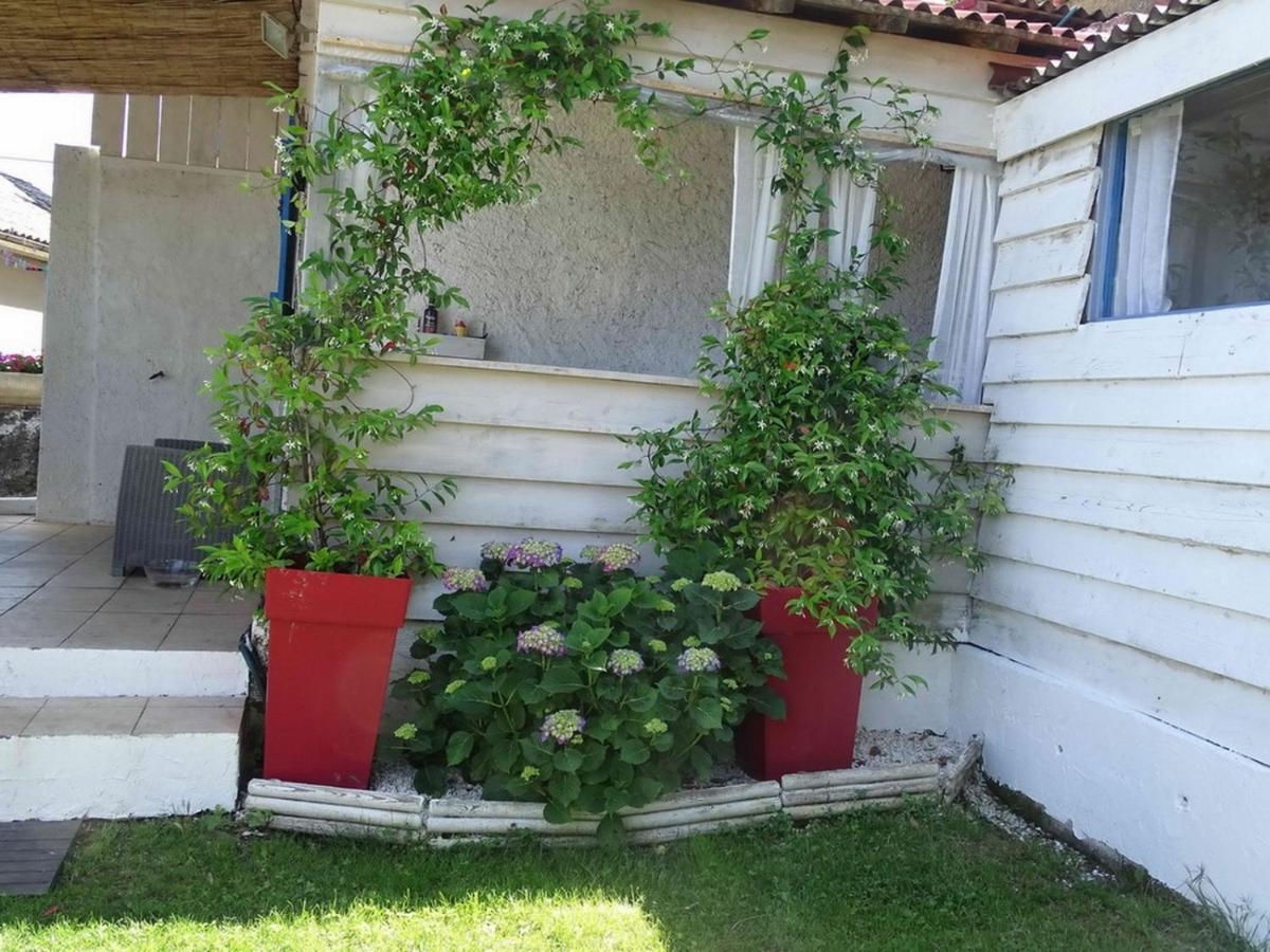 Casa Pentone Villa Cervione Kültér fotó