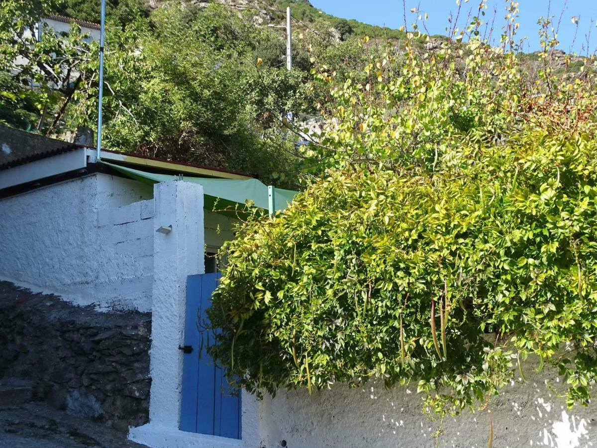Casa Pentone Villa Cervione Kültér fotó