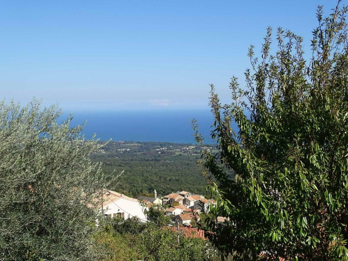 Casa Pentone Villa Cervione Kültér fotó